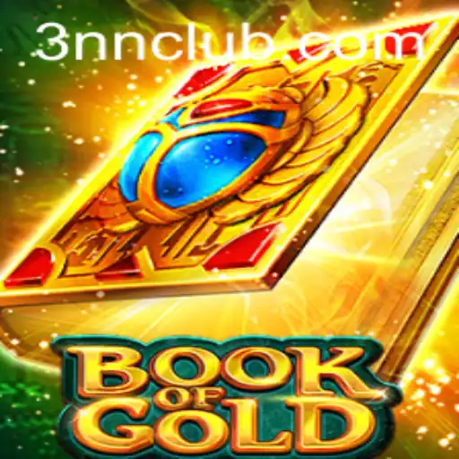 Exploring the Enigmatic World of BookofGold and the Mystery of 3NN