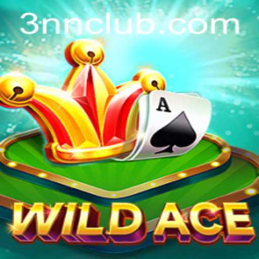 WildAce: A Thrilling Journey into the World of 3NN